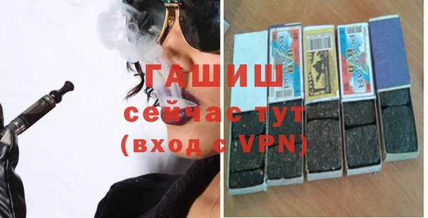 индика Надым