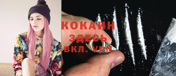 индика Надым