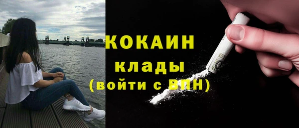индика Надым