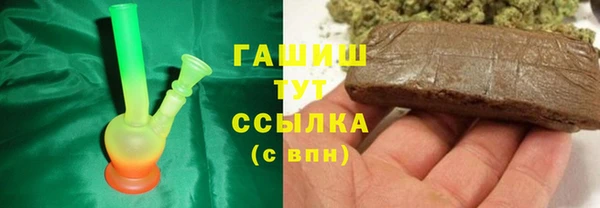 индика Надым