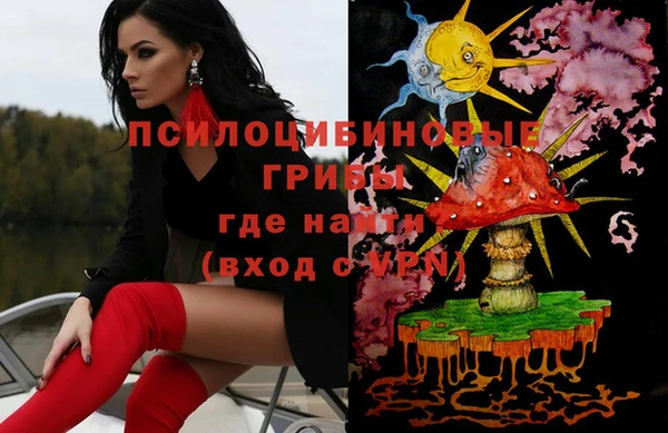 индика Надым