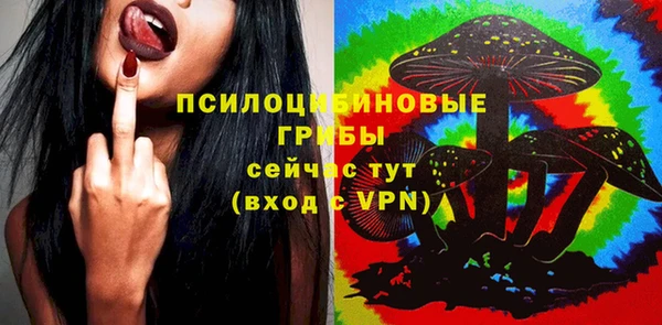 индика Надым