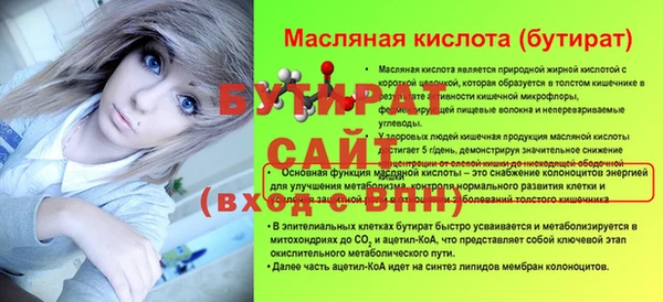 индика Надым