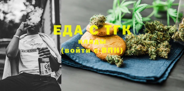 индика Надым