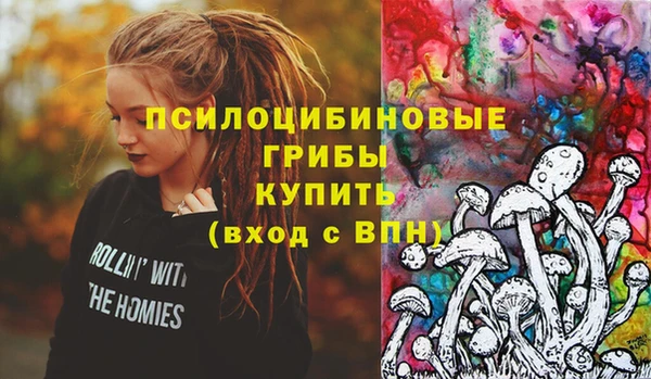 соль ск Михайловск