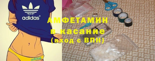 индика Надым