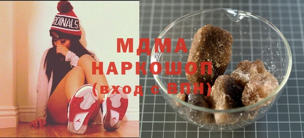 индика Надым
