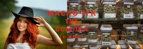 индика Надым