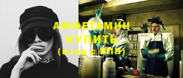 индика Надым