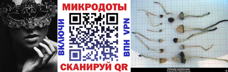 Галлюциногенные грибы мухоморы  OMG как войти  Лесозаводск  наркота 