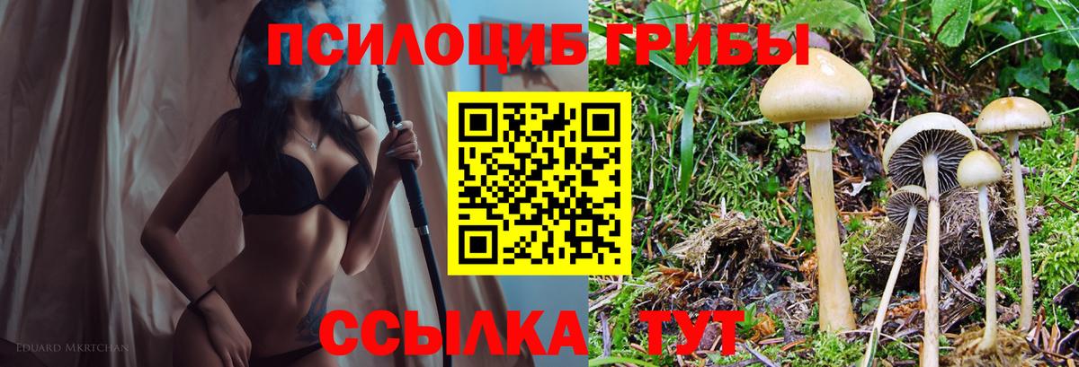 Галлюциногенные грибы мицелий  Галлюциногенные грибы MAGIC MUSHROOMS  Лесозаводск  Вход с VPN 
