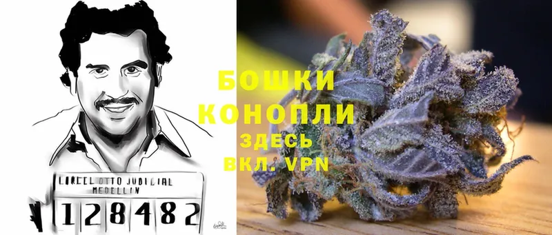 Шишки марихуана Ganja  где можно купить наркотик  Лесозаводск 